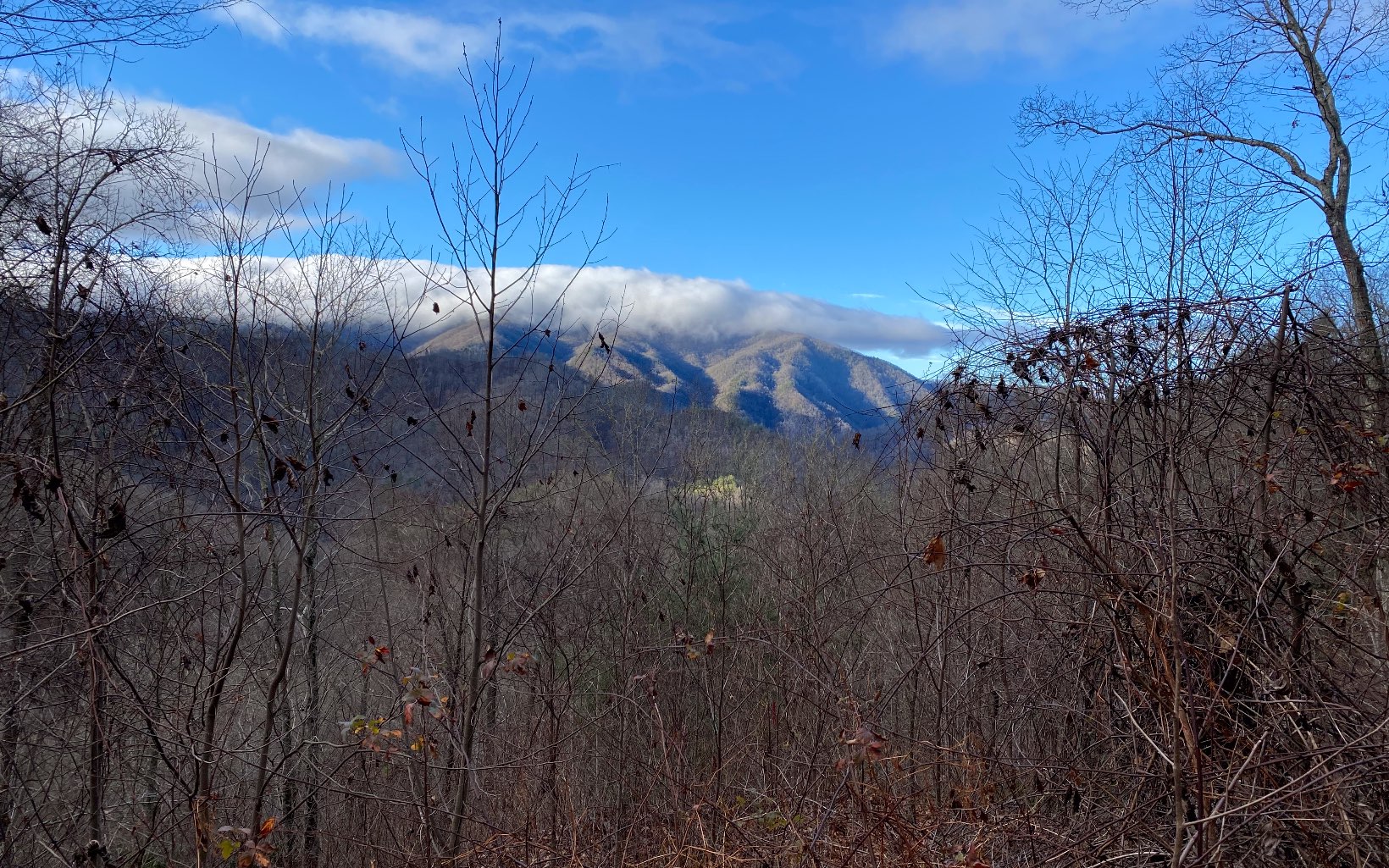 M1,M2 Georgianna Lane