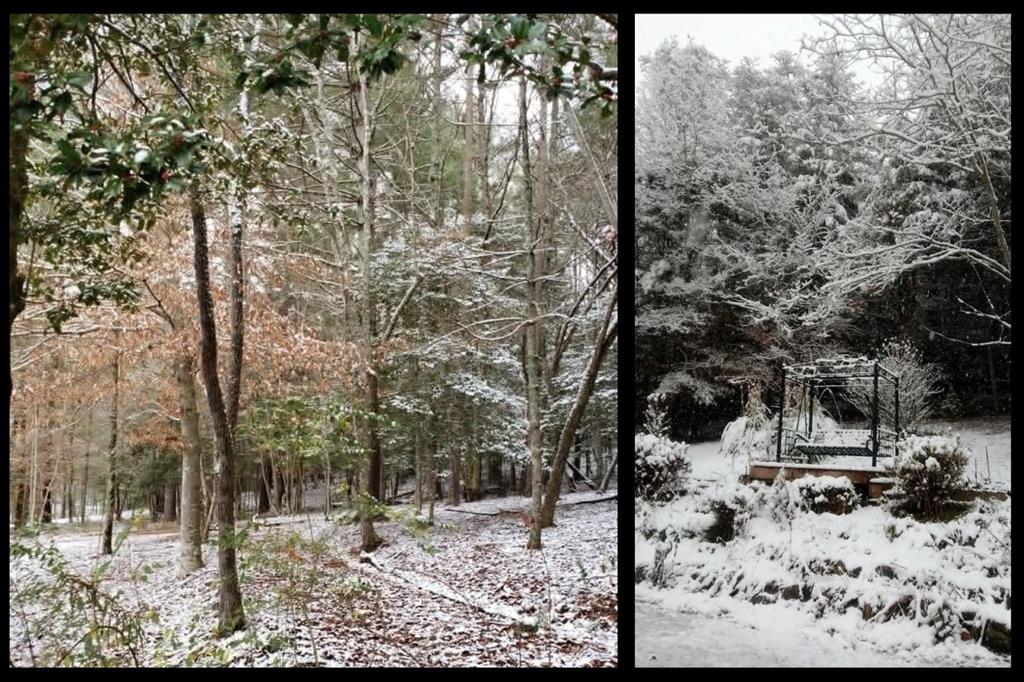 Ellijay, Georgia, 30540, United States, 3 Bedrooms Bedrooms, ,3 BathroomsBathrooms,Residential,Active,2044998