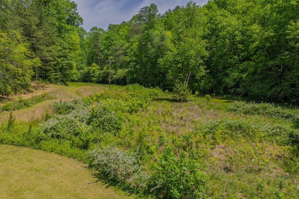 Ellijay, Georgia, 30540, United States, 3 Bedrooms Bedrooms, ,3 BathroomsBathrooms,Residential,Active,2044998