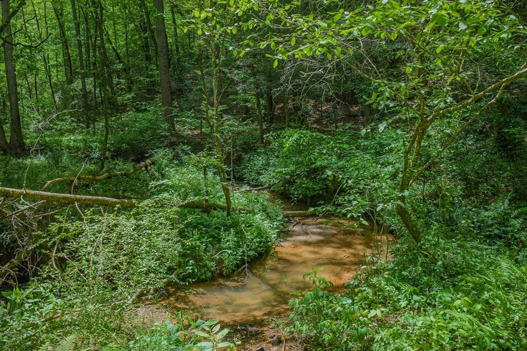 Ellijay, Georgia, 30540, United States, 3 Bedrooms Bedrooms, ,3 BathroomsBathrooms,Residential,Active,2044998