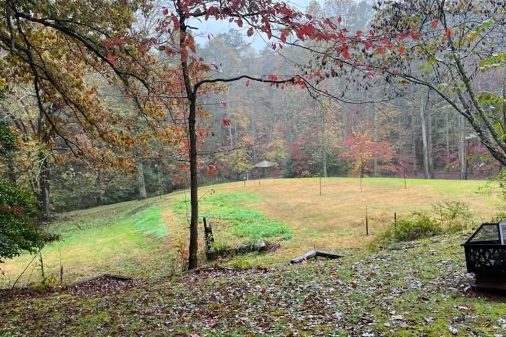 Ellijay, Georgia, 30540, United States, 3 Bedrooms Bedrooms, ,3 BathroomsBathrooms,Residential,Active,2044998