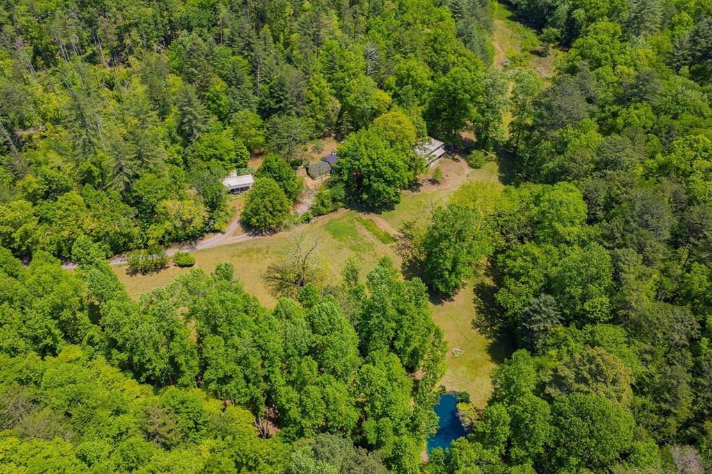 Ellijay, Georgia, 30540, United States, 3 Bedrooms Bedrooms, ,3 BathroomsBathrooms,Residential,Active,2044998