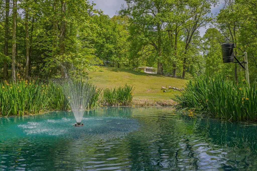 Ellijay, Georgia, 30540, United States, 3 Bedrooms Bedrooms, ,3 BathroomsBathrooms,Residential,Active,2044998