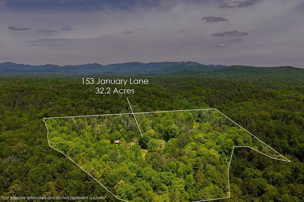 Ellijay, Georgia, 30540, United States, 3 Bedrooms Bedrooms, ,3 BathroomsBathrooms,Residential,Active,2044998