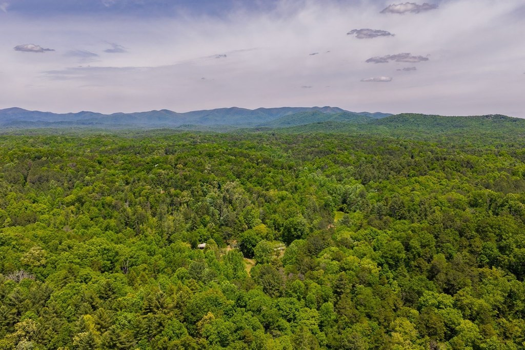 Ellijay, Georgia, 30540, United States, 3 Bedrooms Bedrooms, ,3 BathroomsBathrooms,Residential,Active,2044998