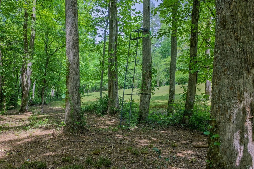 Ellijay, Georgia, 30540, United States, 3 Bedrooms Bedrooms, ,3 BathroomsBathrooms,Residential,Active,2044998
