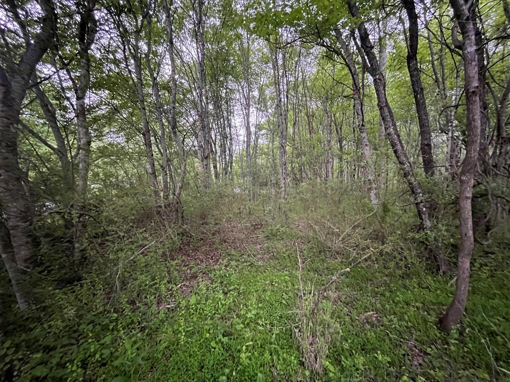 Lot S River Oaks S/D