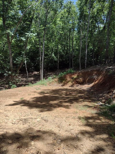 0 Radiant Cove Brasstown NC 28902