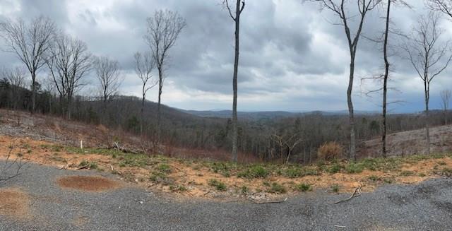 Lot 173 Shagbark Court