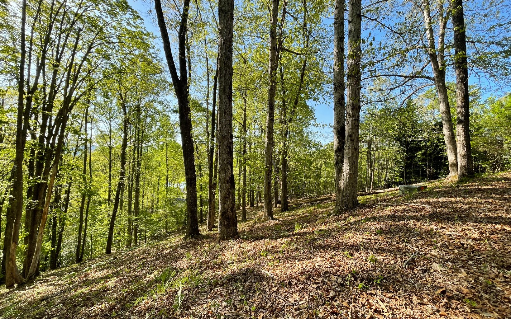 Lot 1C Lakewood Hills