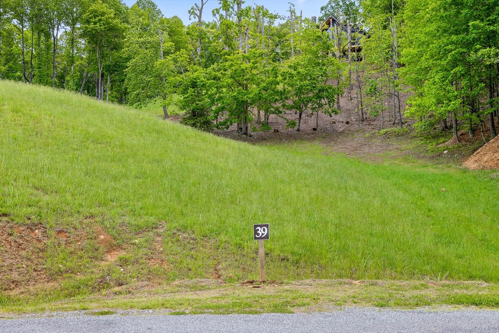 Lot 39 Big Valley Overlook