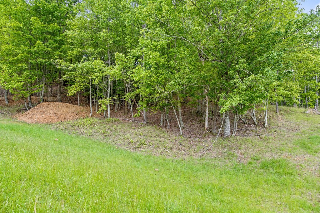 Lot 39 Big Valley Overlook