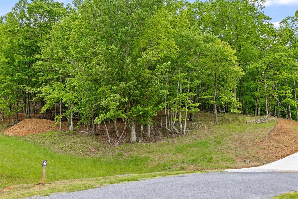 Lot 39 Big Valley Overlook