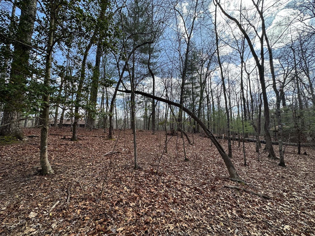 Lot 20 Black Oak Road