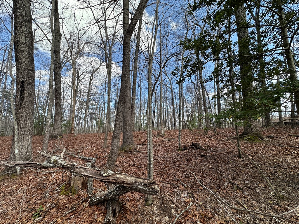 Lot 20 Black Oak Road