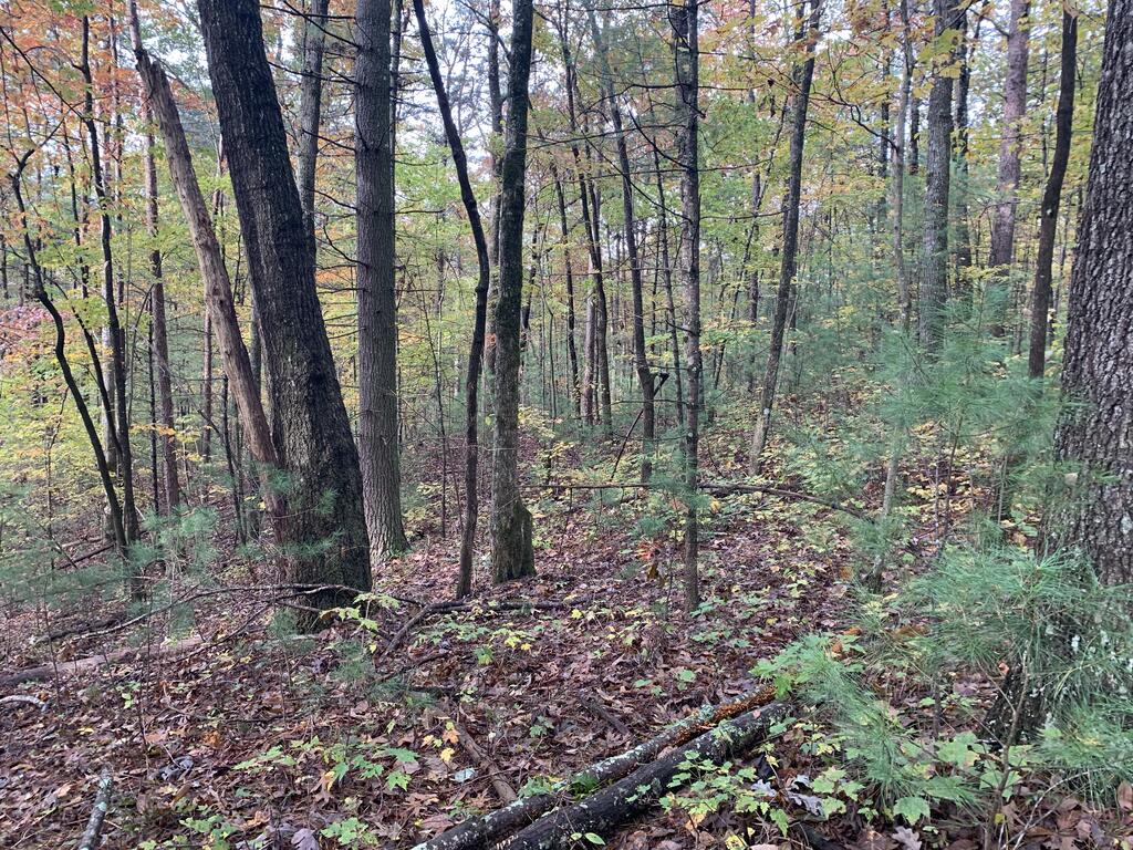 9 Dover Falls Trail