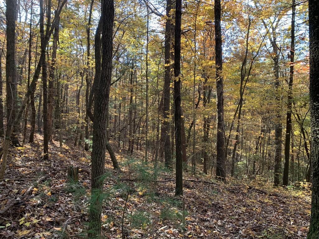 9 Dover Falls Trail
