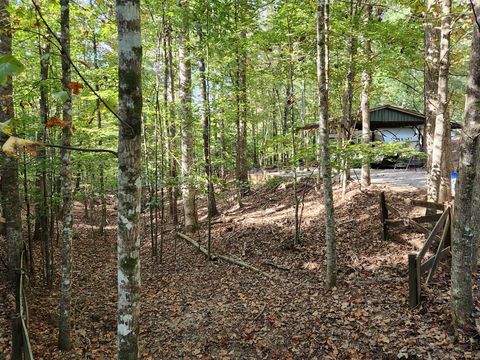 A home in Ellijay