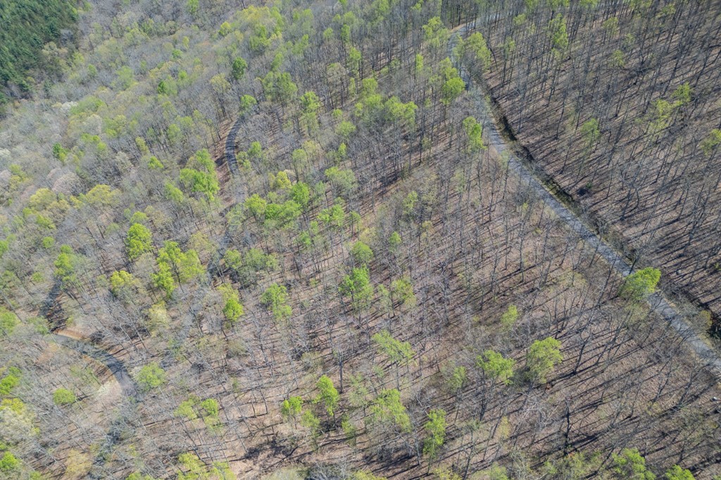 Lot 88 Rocky Knob Estates