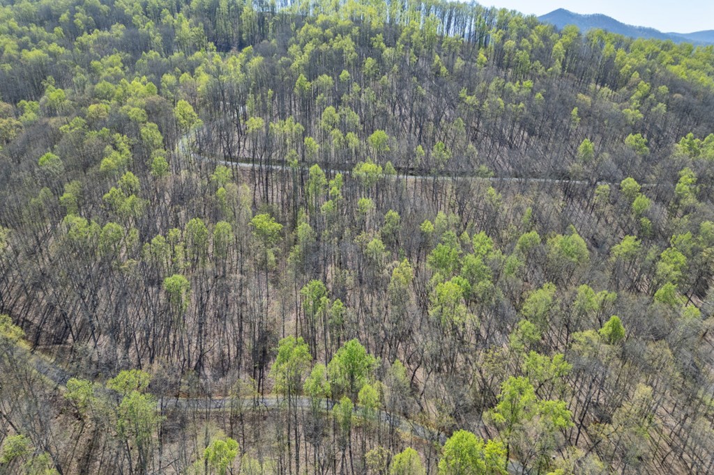 Lot 88 Rocky Knob Estates