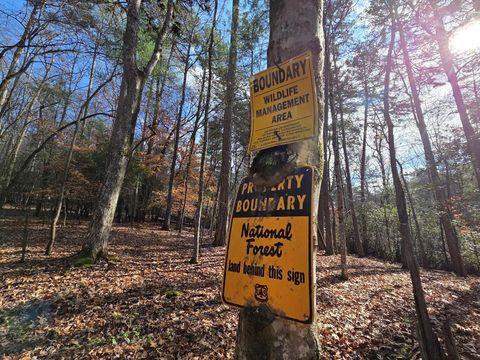 Lot 10 Wildcat Creek Suches GA 30572