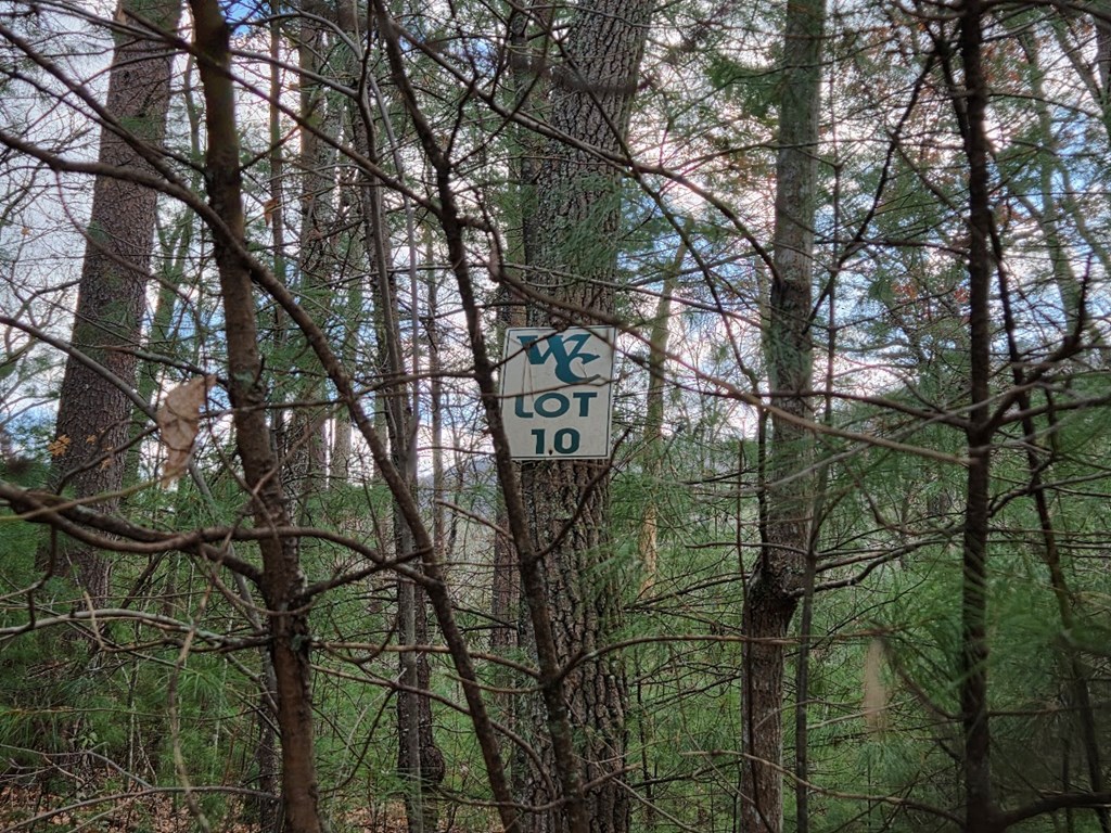 Lot 10 Wildcat Creek