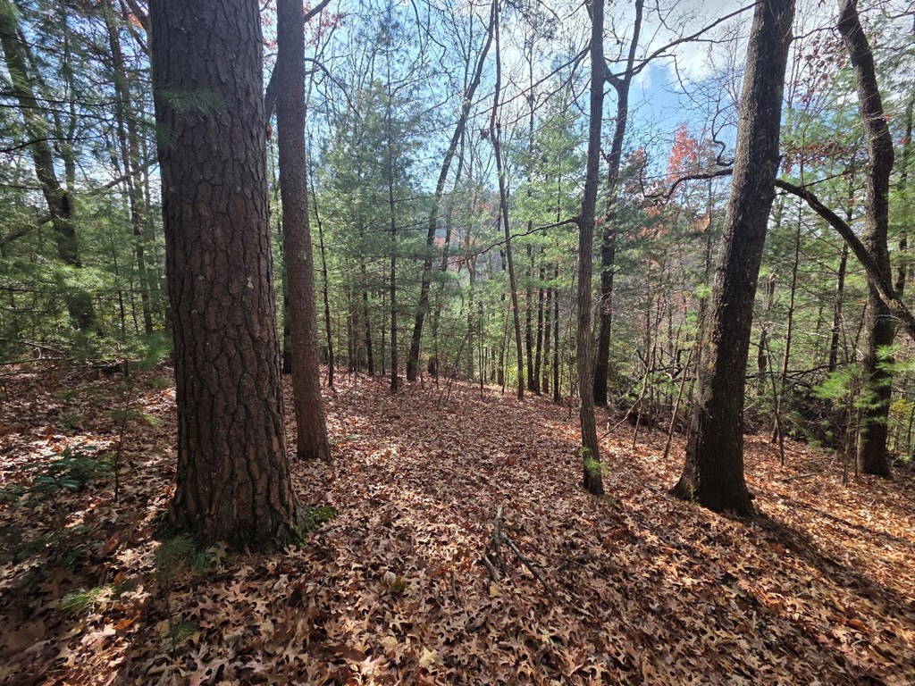 Lot 10 Wildcat Creek