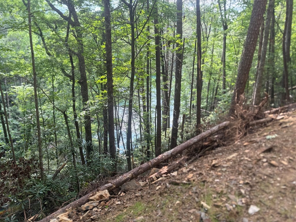 00 Berry Patch Road
