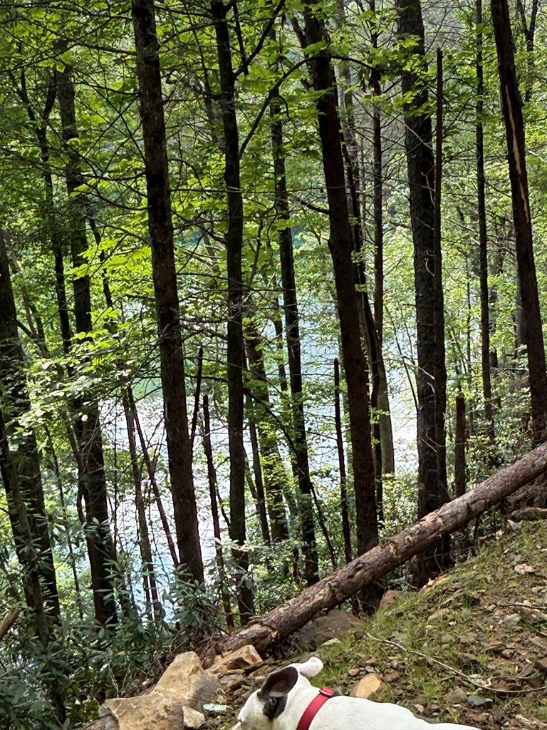 00 Berry Patch Road
