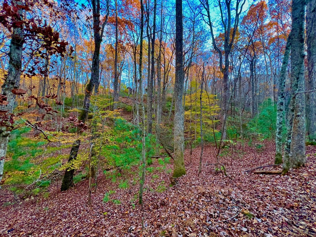 296 Valley View Road