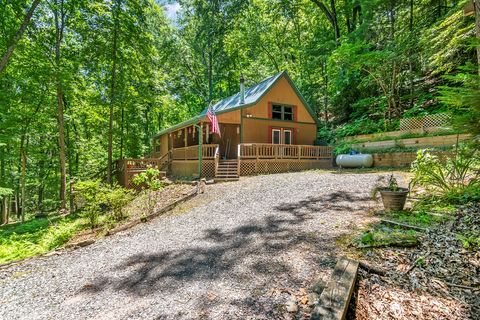 A home in Mineral Bluff