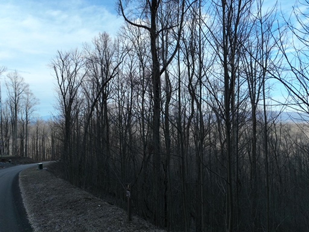 279 Andes Ridge