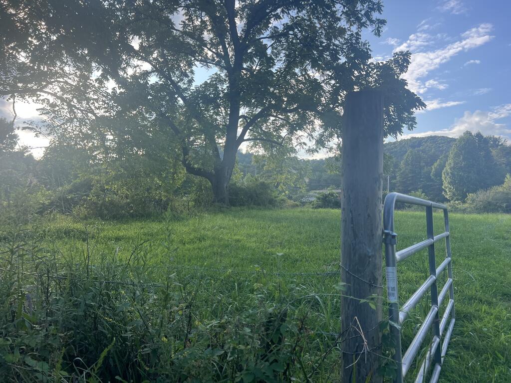 5.8 ac Lebanon Road