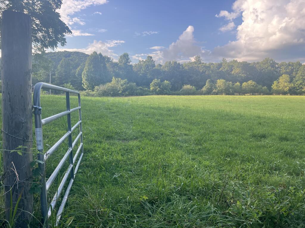 5.8 ac Lebanon Road
