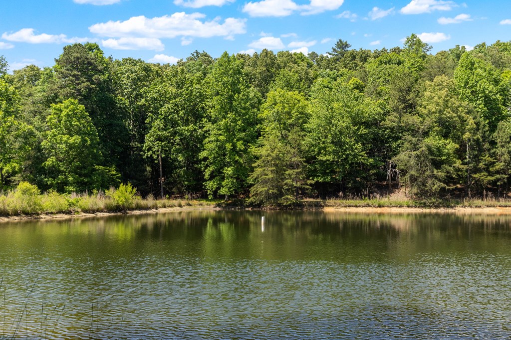 85 Misty Hollow Ridge