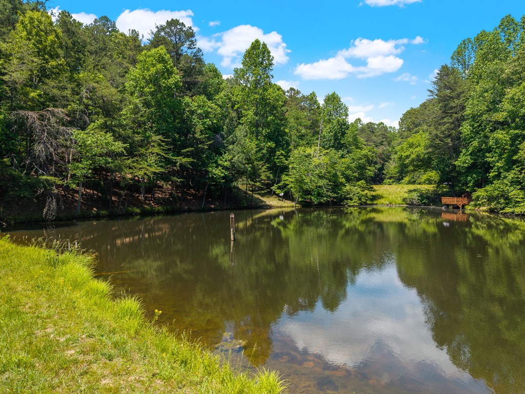 85 Misty Hollow Ridge