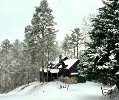 A home in Mineral Bluff