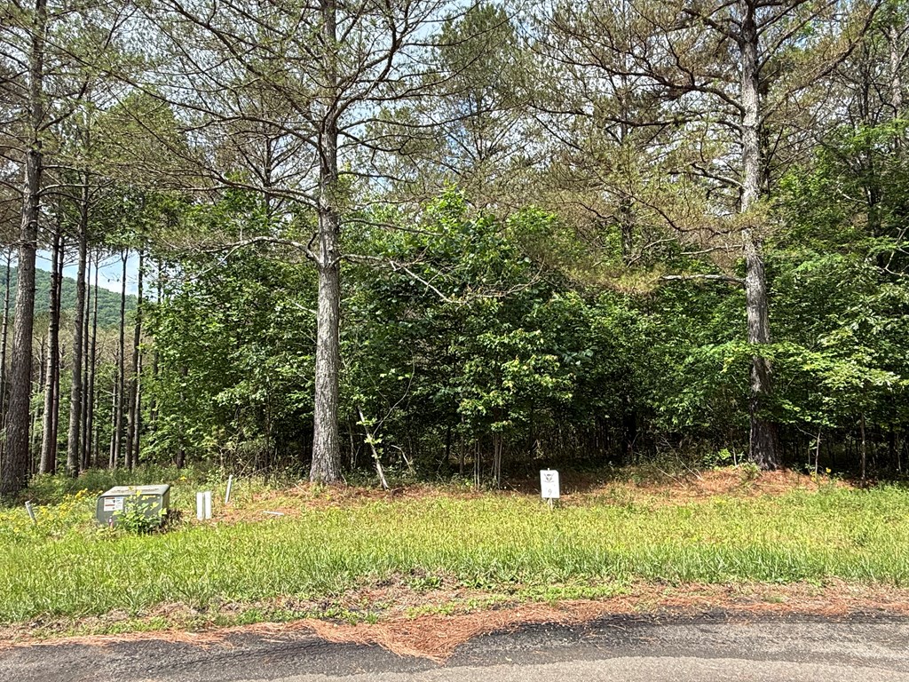 Lot 9 Eastview Trail