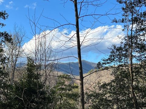 Lot 45 Tusquittee Crossing Hayesville NC 28904