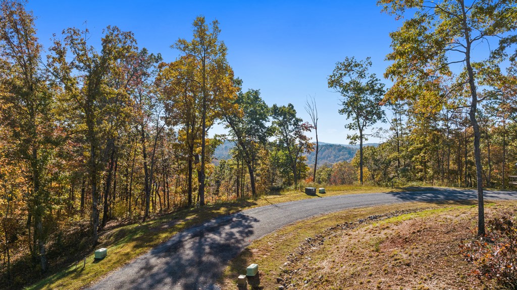 Lot 58 Ridge Line Trail