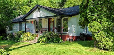 820 Ash Loop Road Blue Ridge GA 30513