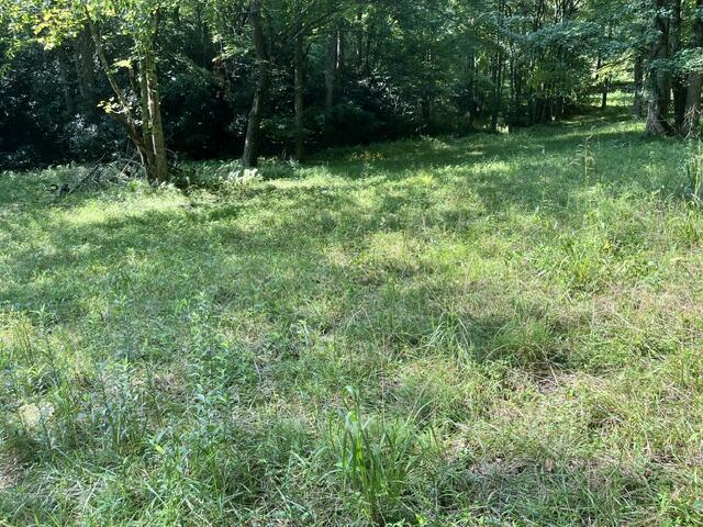 lot 9 S Dogwood