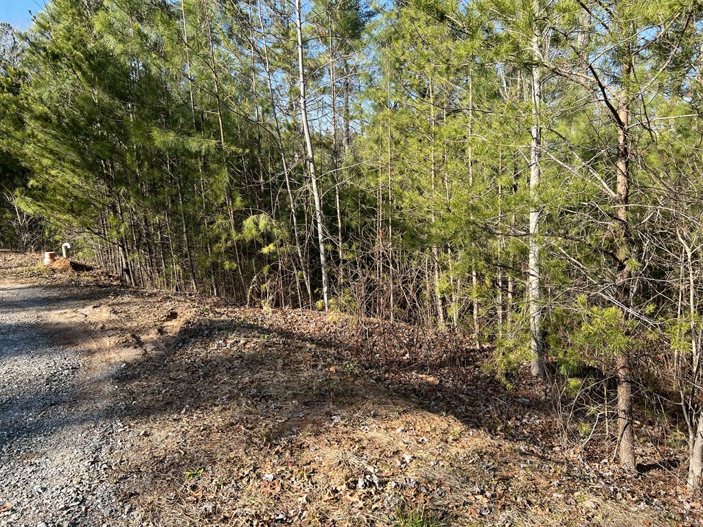 Lot 1855 Hunter Drive