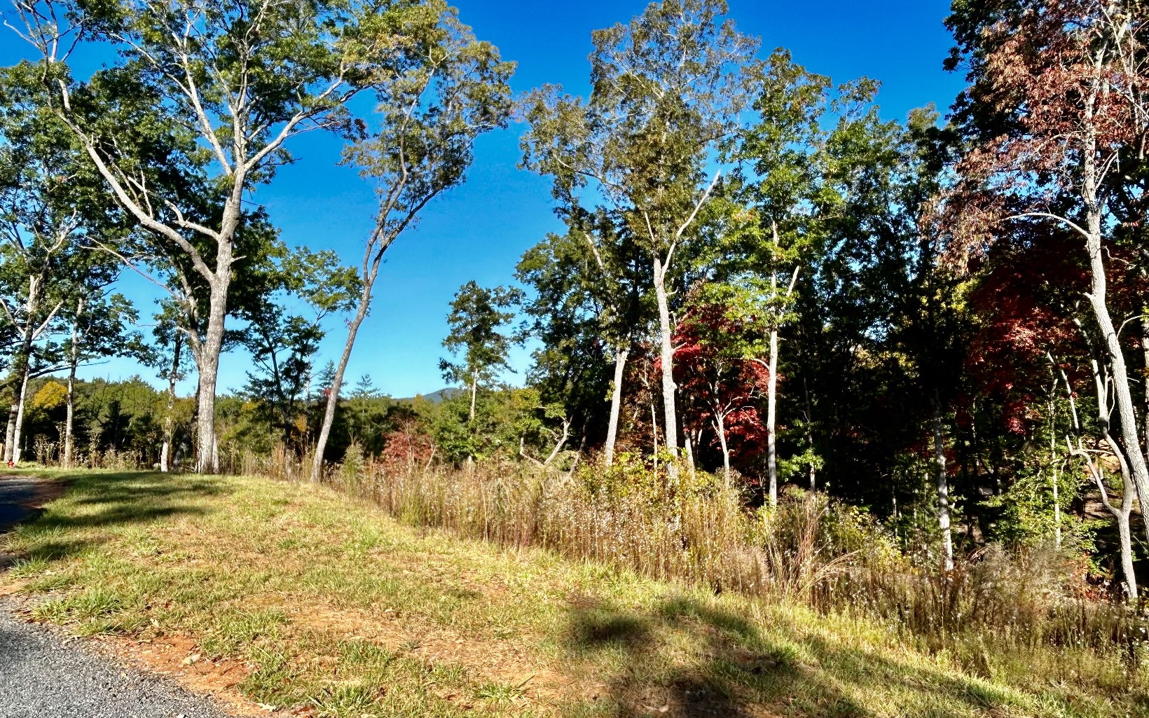Lot 305 Greenwood Court