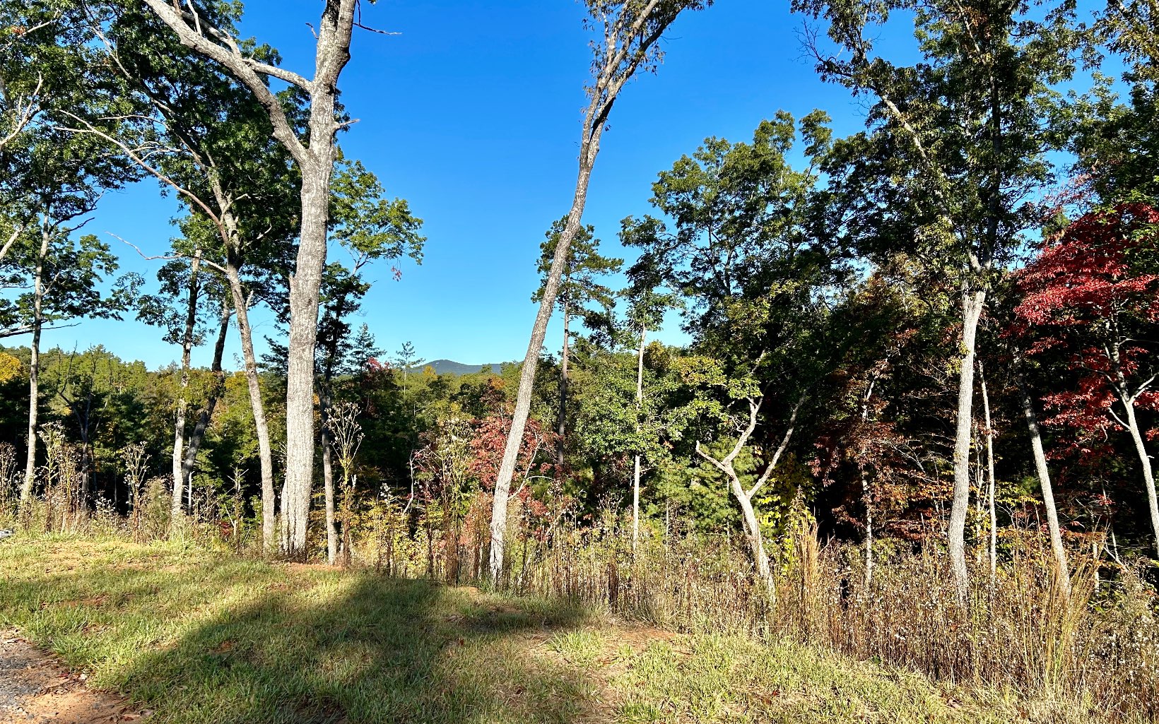 Lot 305 Greenwood Court