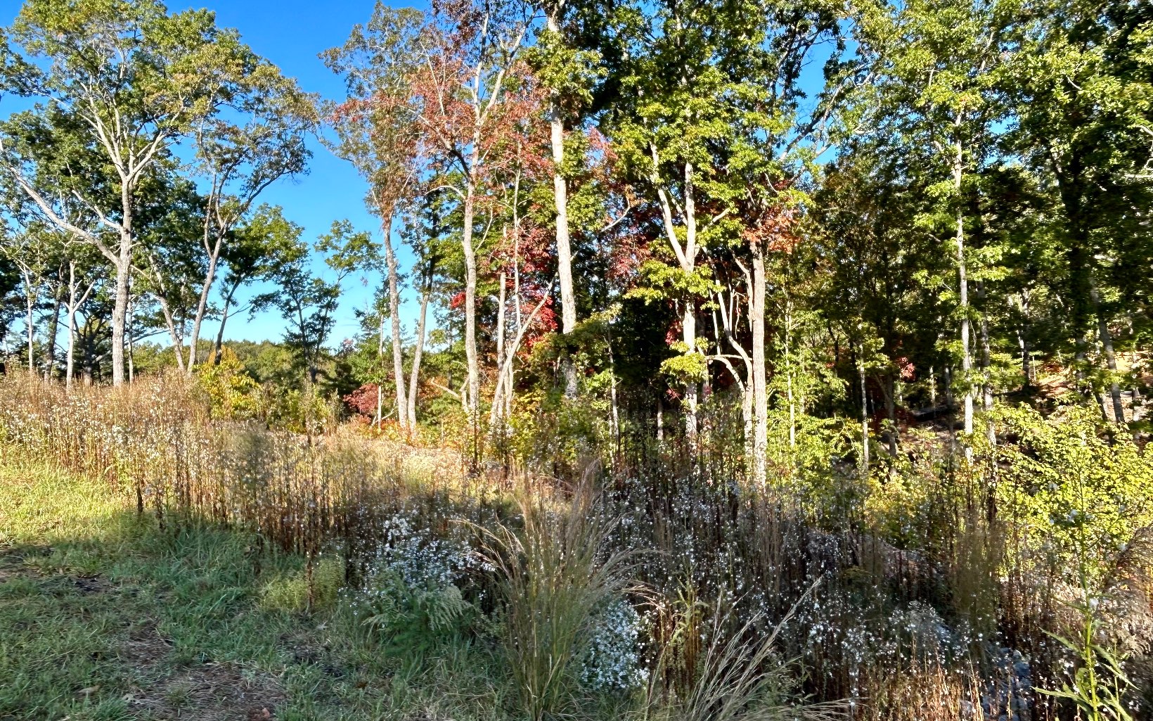 Lot 305 Greenwood Court