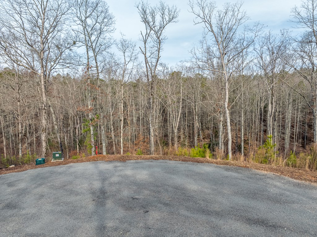 Lot 127 Red Hawk Lane