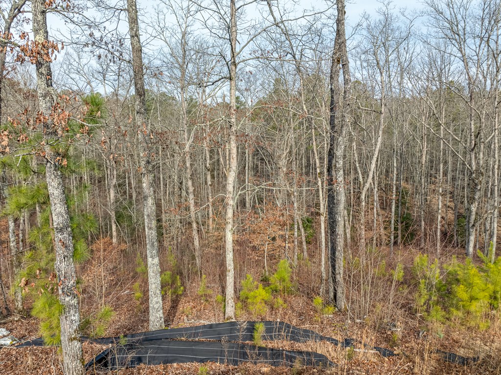 Lot 127 Red Hawk Lane