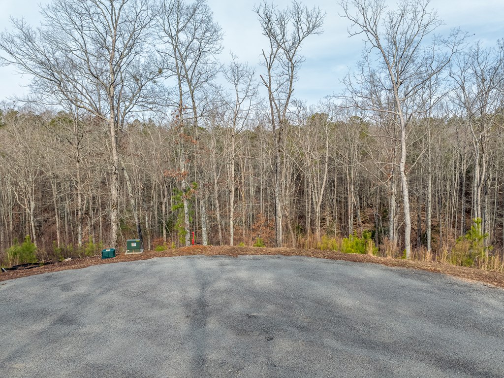 Lot 127 Red Hawk Lane