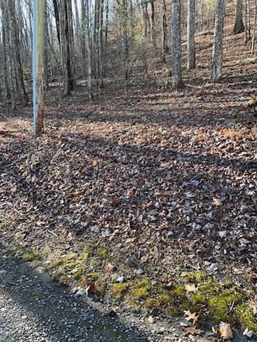 26 Soapstone Creek Circle